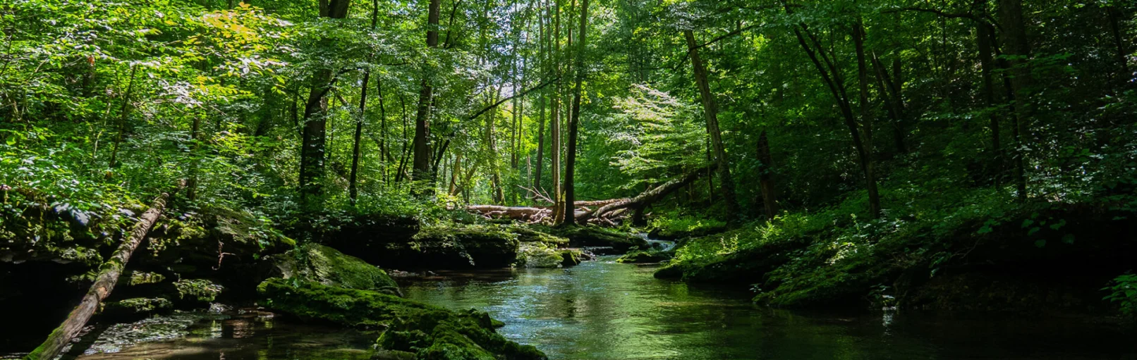 Brocéliande Bretagne hébergement insolite